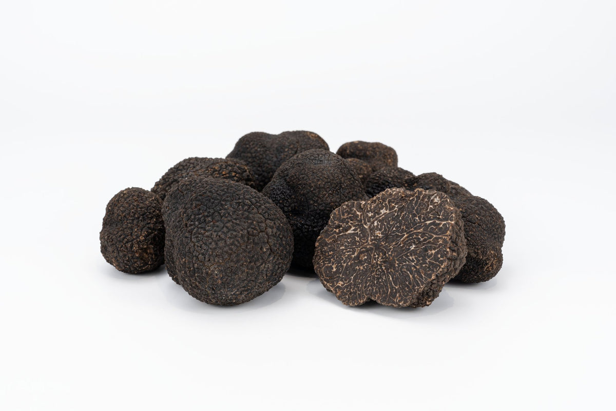 Trufa negra fresca (Tuber melanosporum)
