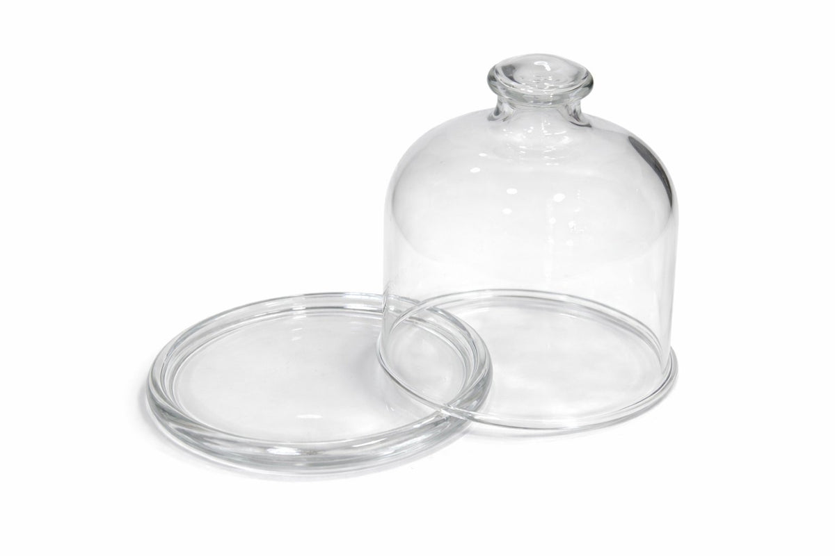 Campana de cristal con base para trufa